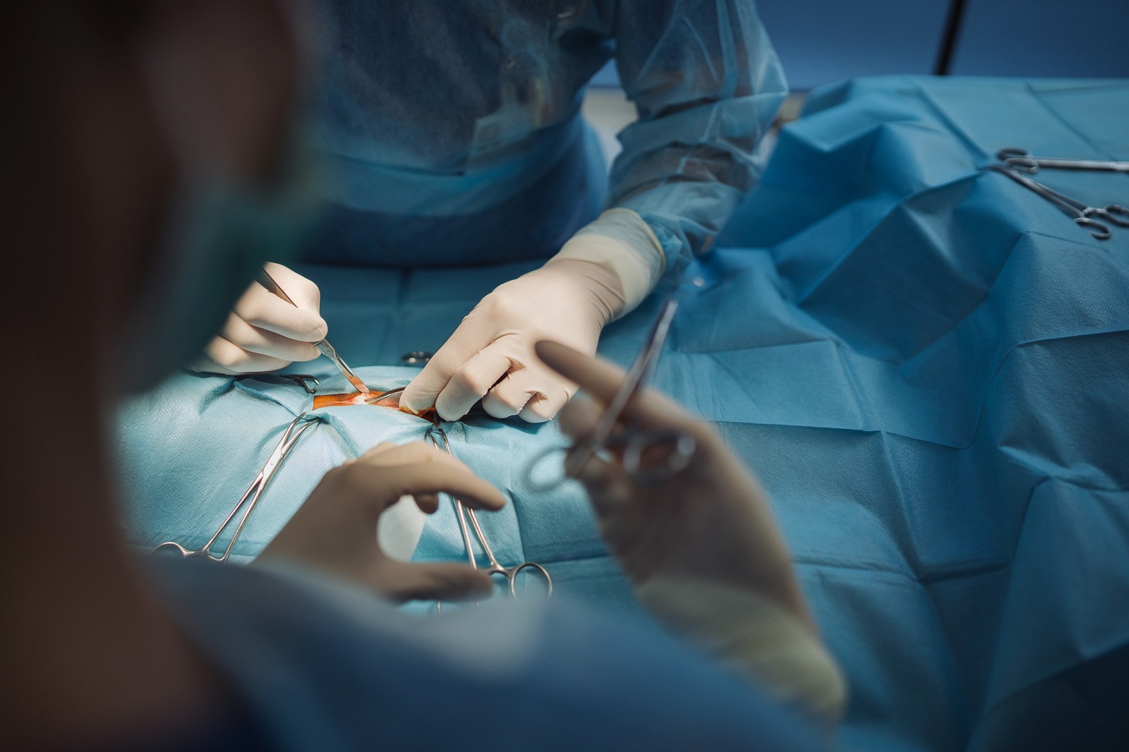 Veterinarian consulting with pet owner in modern clinic